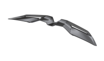 Carbon Active Race Spoiler